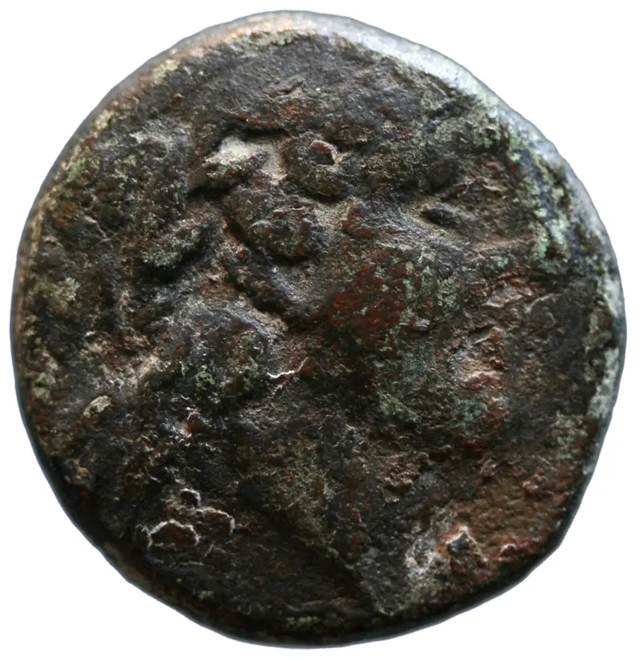 Adaios