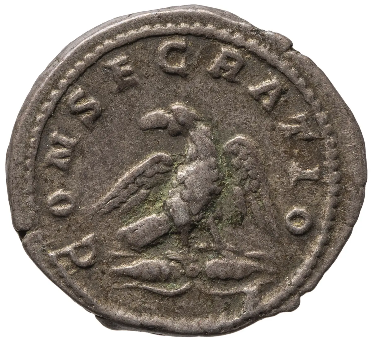 Divus Septimius Severus