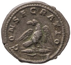 Divus Septimius Severus
