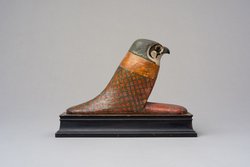 Achom-Falke