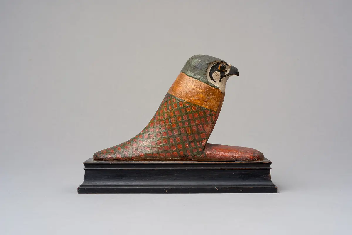Achom-Falke