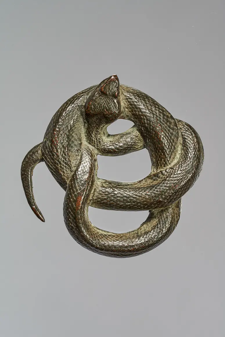 Snake