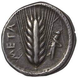 Metapont