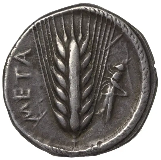 Metapont