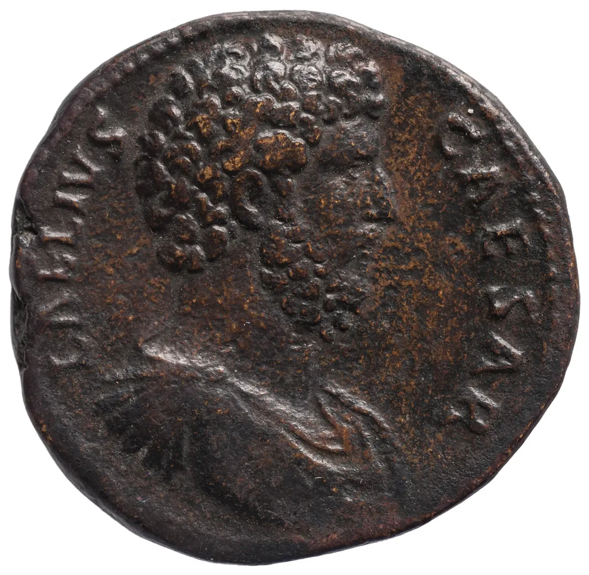 Lucius Aelius