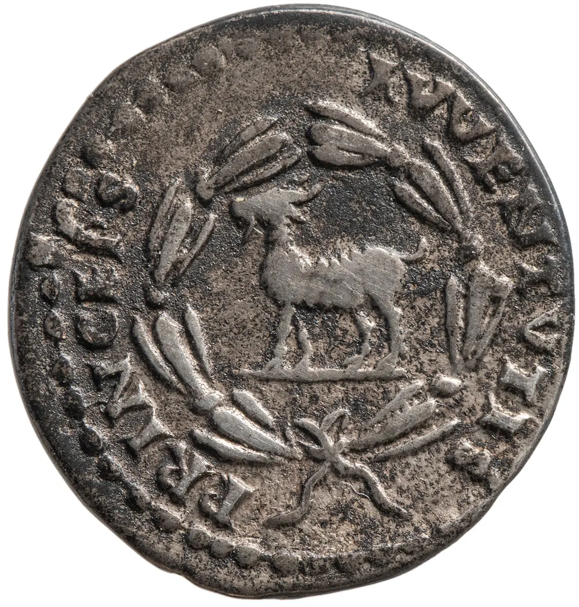 Titus für Domitianus
