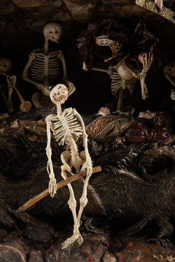 Der Tod Kaiser Ferdinands III. als Sinnbild der Vergänglichkeit