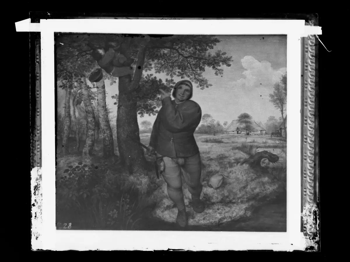 Bauer und Vogeldieb