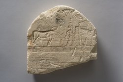 Fragment einer Apis-Stele mit demotischer Inschrift
