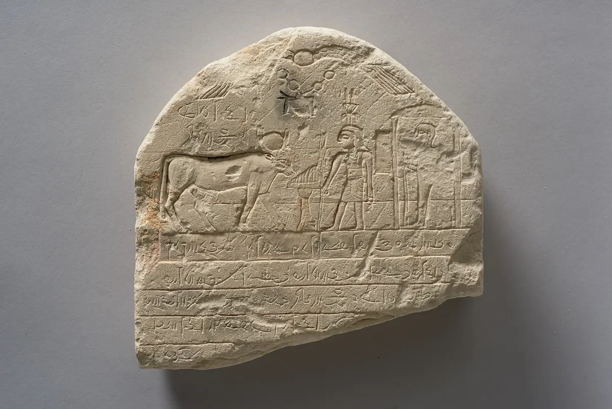 Fragment einer Apis-Stele mit demotischer Inschrift