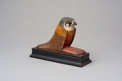Achom-Falke