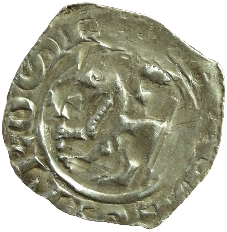 Herzöge von Kärnten / Herren von Krain: Bernhard (1202–1256)