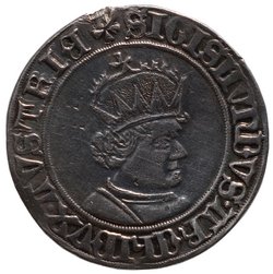 Haus Österreich: Ehg. Sigismund (1439–1490, † 1496)