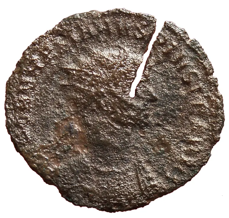 Münze