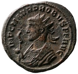 Probus