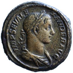 Severus Alexander