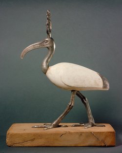 Gott Thot als Ibis