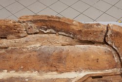 Deckel des mumienförmigen Außensarges der But-har-chensu