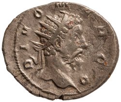 Divus Commodus