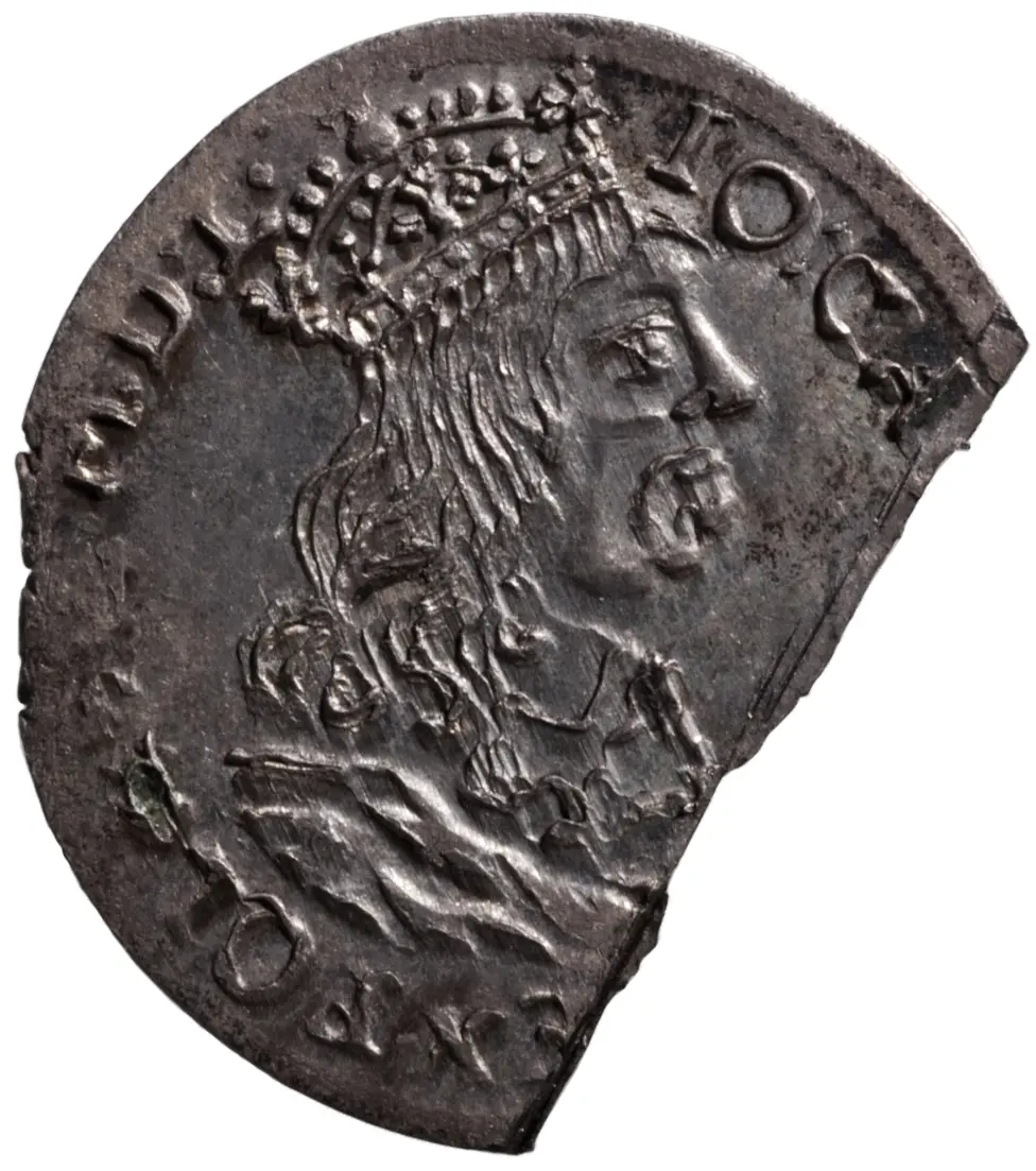 Polen: Johann II. Kasimir