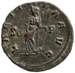 Carausius