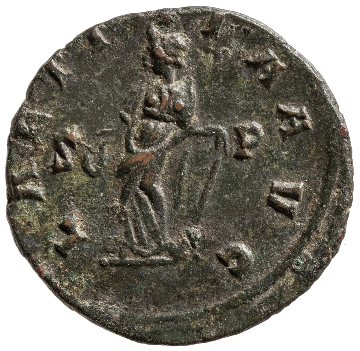 Carausius