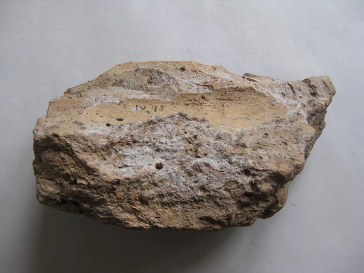 Fragment einer Sima mit Tierkampfgruppe: Wild reißender Löwe