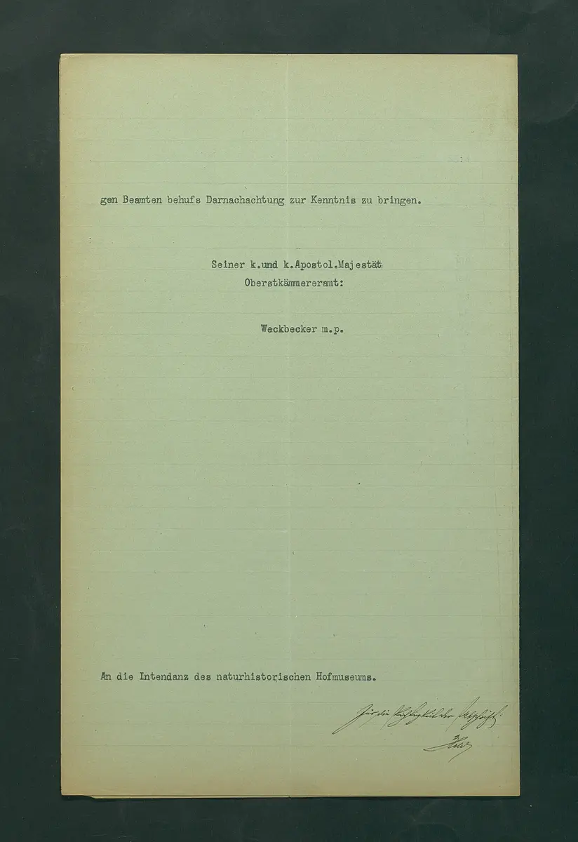 Verhalten bei Delikten und Ordnungswidrigkeiten im Naturhistorischen Museum (Abschrift)
