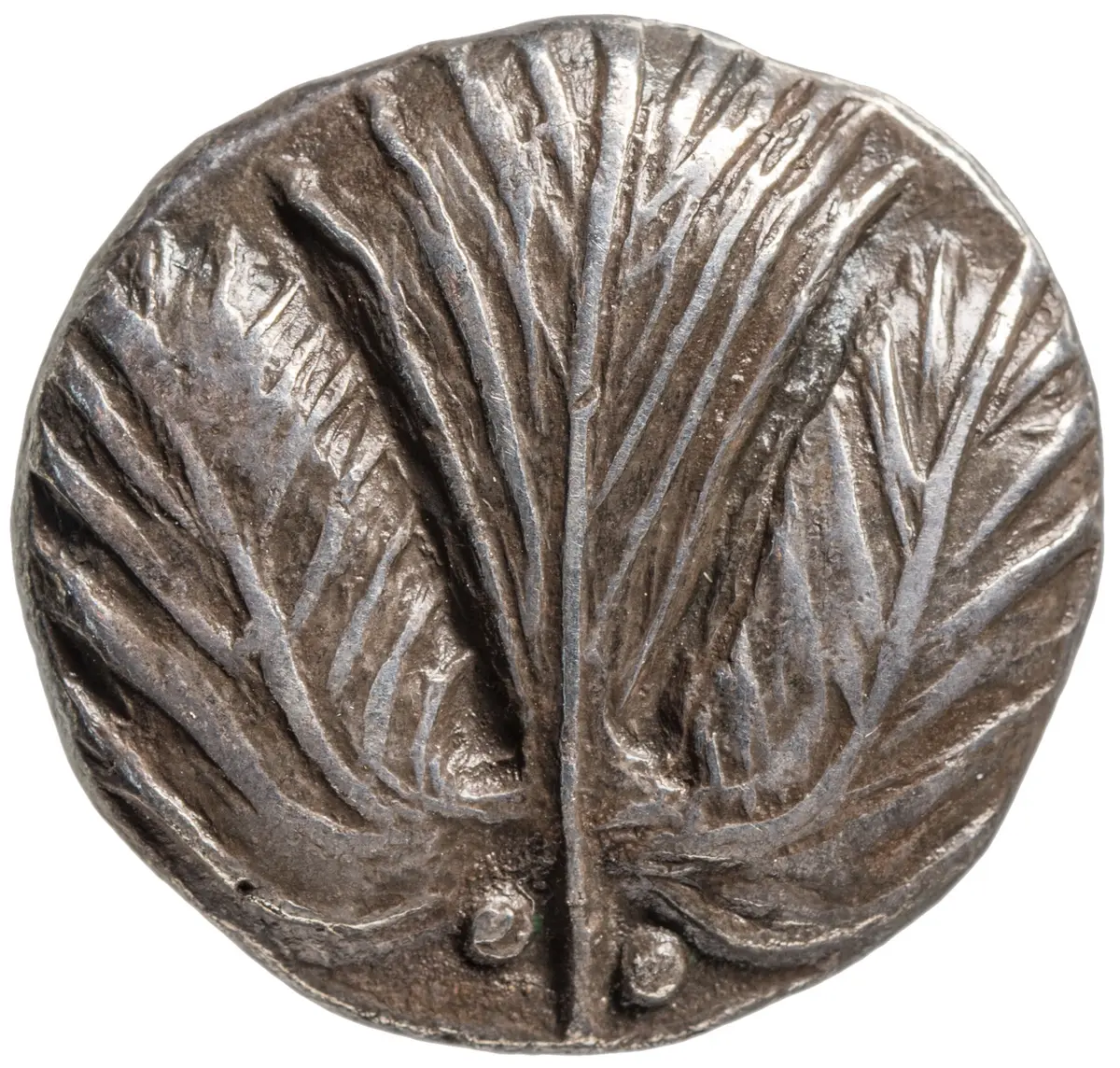Selinus