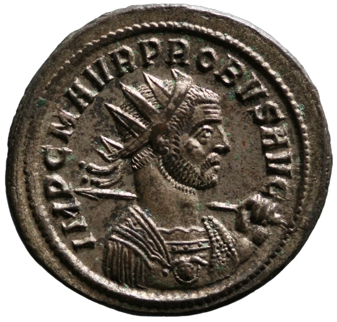 Probus