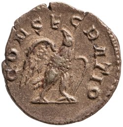 Divus Titus