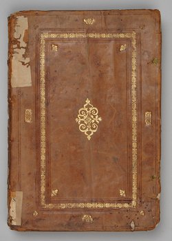 Arzneimittelbuch der Philippine Welser, Arzneimittelbuch