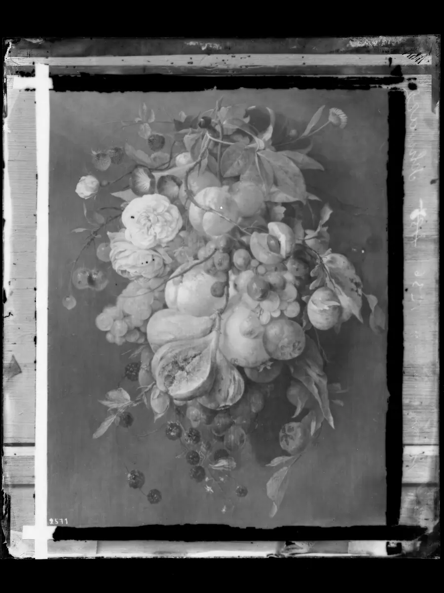 Früchte und Blumen