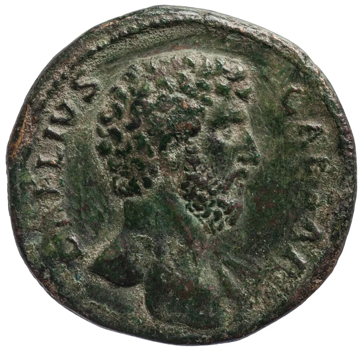 Lucius Aelius