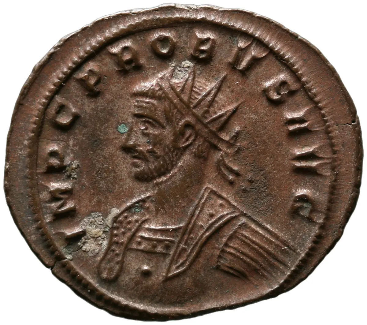 Probus