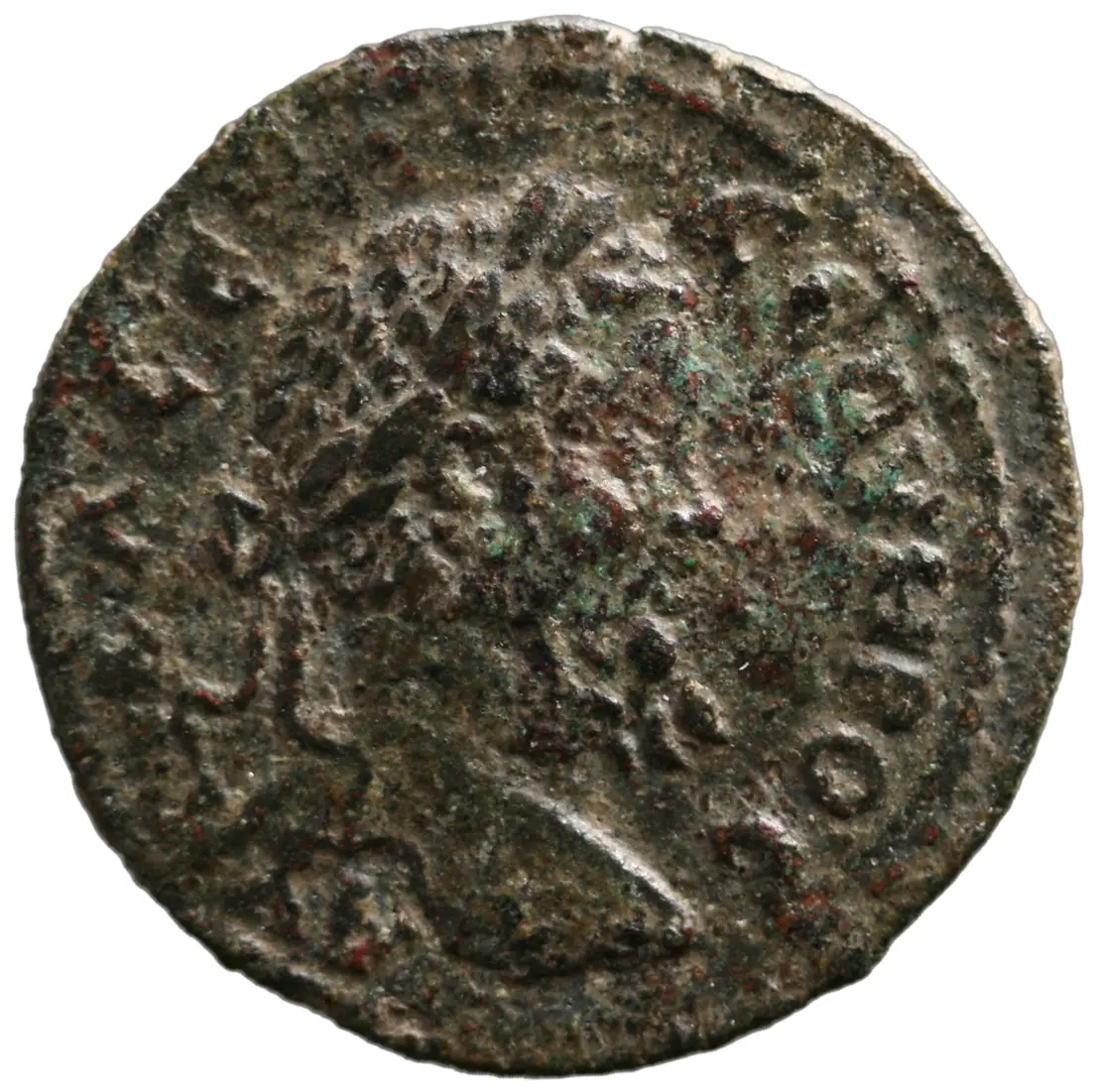 Ephesos: Septimius Severus