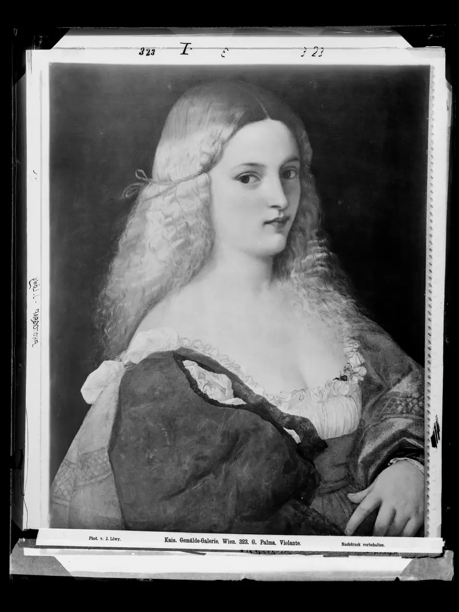 Violante