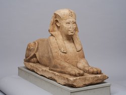 Serapeumssphinx