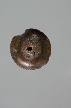 Bronzefragment (von Kelch?) mit Kartusche Ramses' III.
