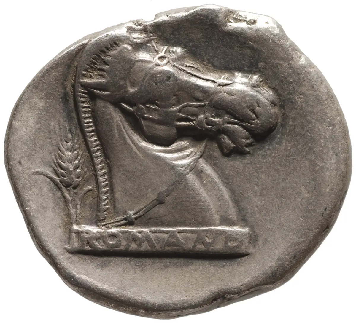 Röm. Republik: Didrachmenserie