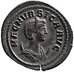 Magnia Urbica