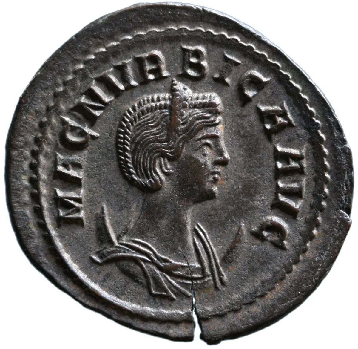 Magnia Urbica