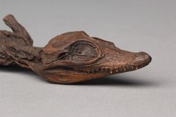 Mumifizierter Körper eines kleinen Krokodils