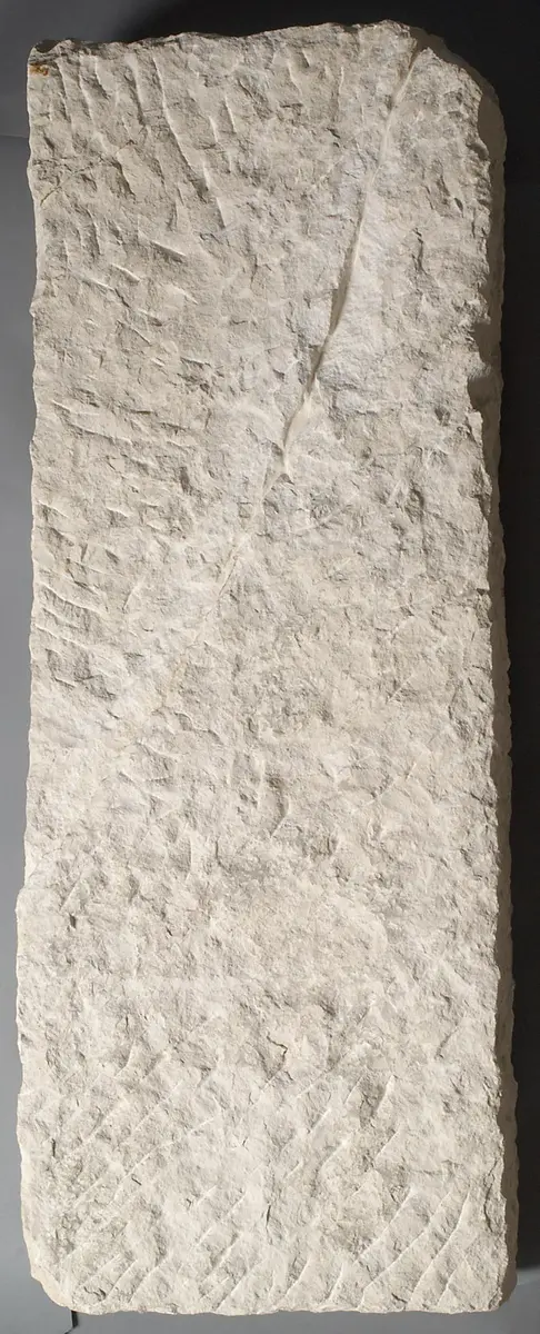 Section of a wall in- scribed with a curse 