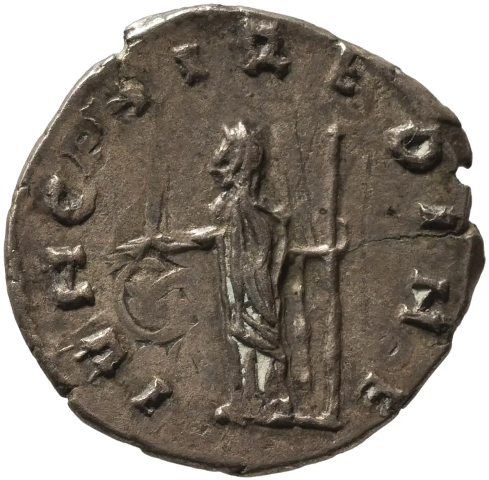 Dryantilla