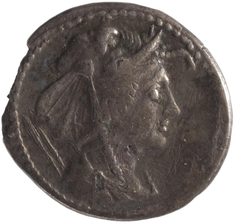 Röm. Republik: Q. Cornuficius