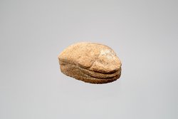 Herzskarabäus