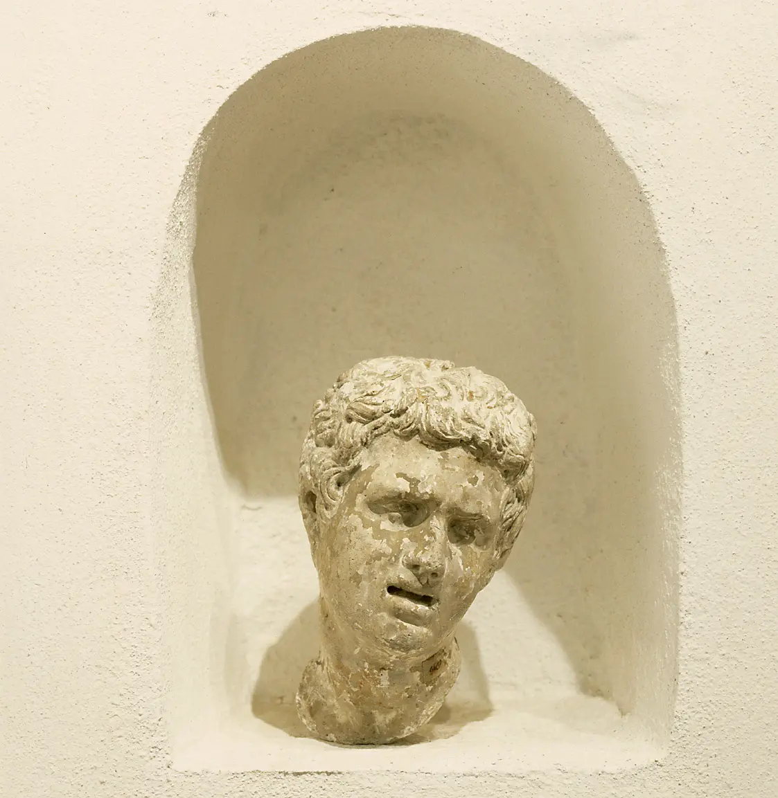 Sohn des Laokoon (Laocoon), Büste, Kopf, Porträtbüste, Porträtkopf