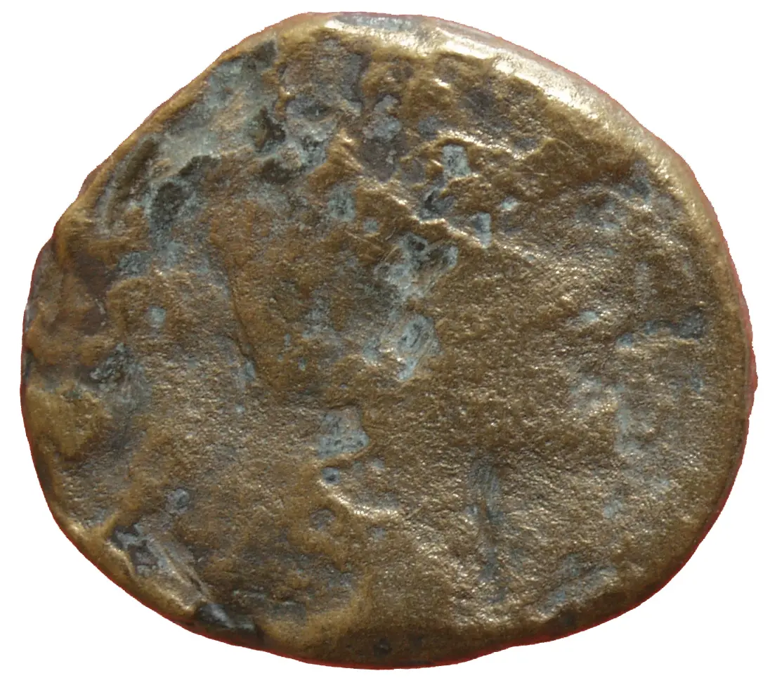 Septimius Severus (Falsum)