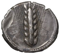Metapont